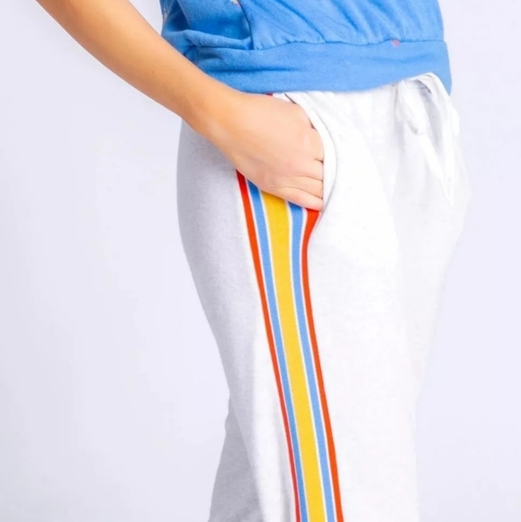 PJ Salvage | Cloud Gray Sun Out Side Stripe Jogger Sweatpants Size Small - Picture 9 of 9